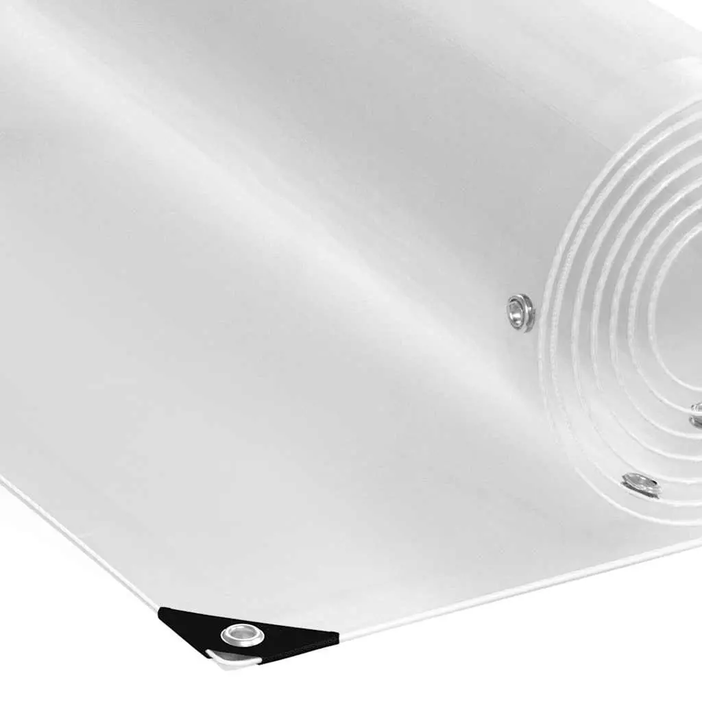 Clear PVC Tarpaulin with Eyelets 2x3 m