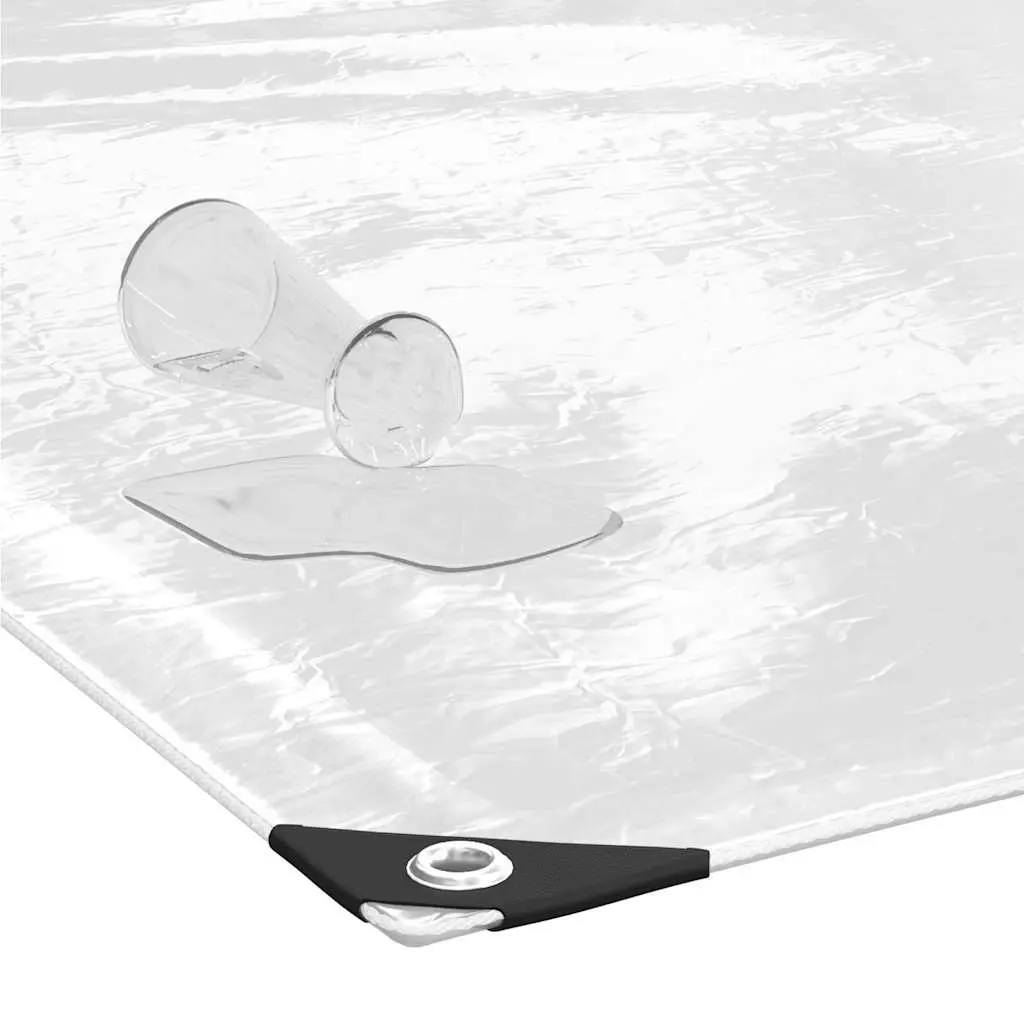 Clear PVC Tarpaulin with Eyelets 2x3 m