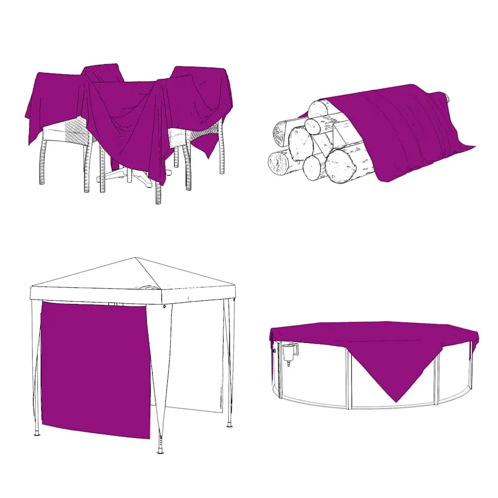 Clear PVC Tarpaulin with Eyelets 2x3 m