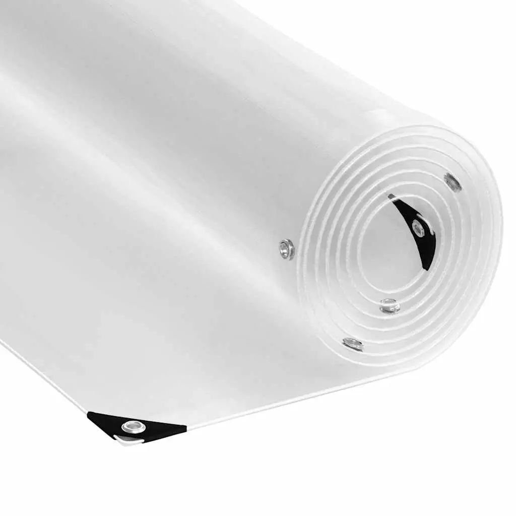 Clear PVC Tarpaulin 3x5m with Eyelets