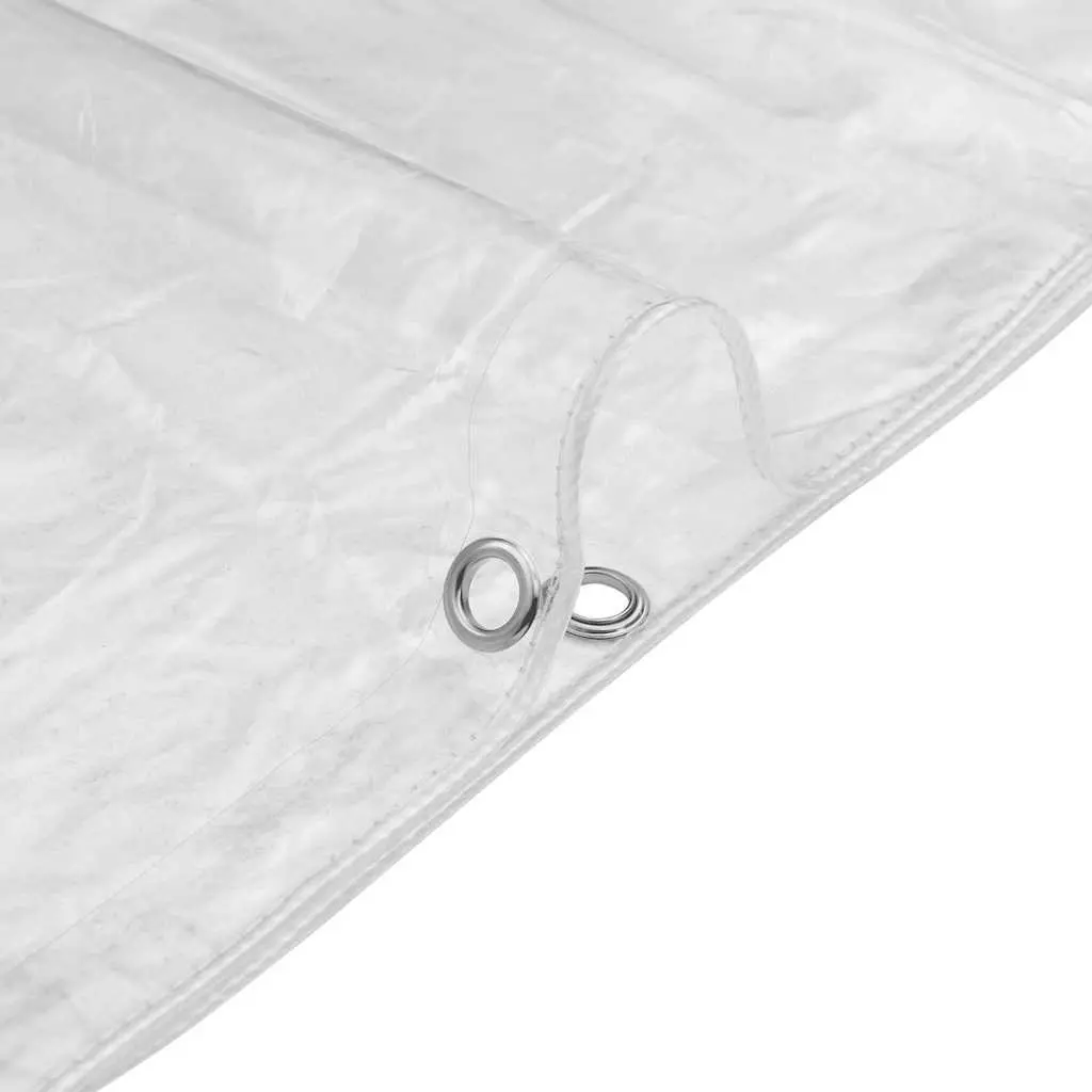 Clear PVC Tarpaulin 3x5m with Eyelets