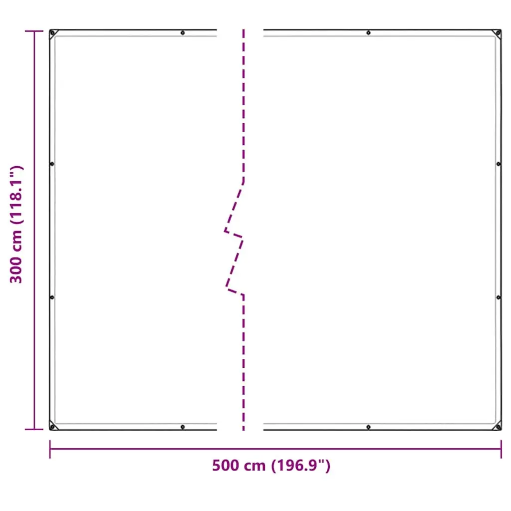 Clear PVC Tarpaulin 3x5m with Eyelets