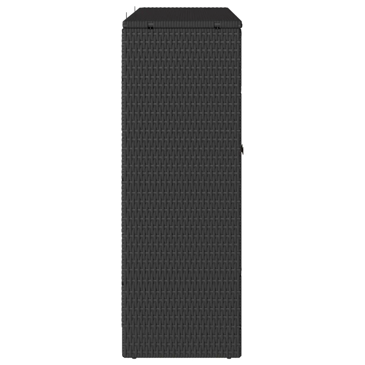 Black Rectangular Storage Cabinet with Rattan Construction