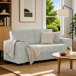 Light Grey Velvet 2-Seater Sofa Specifications and Features