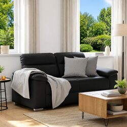 2-Seater Sofa Dimensions and Details: 160x81x84cm