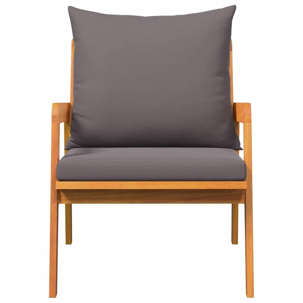 Garden Chair with Cushion 2 Piece Set Outdoor Seating Brown Oil Natural Wood