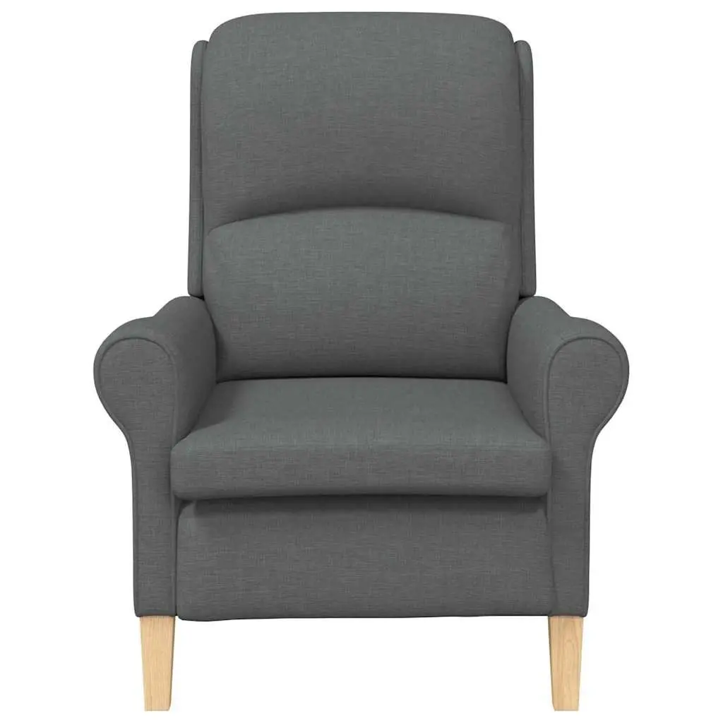 Armchair Grey Fabric Modern Living Room Seating