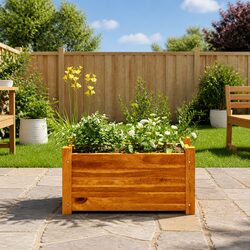 Wooden Raised Garden Bed: 50 x 25 x 25 cm Dimensions