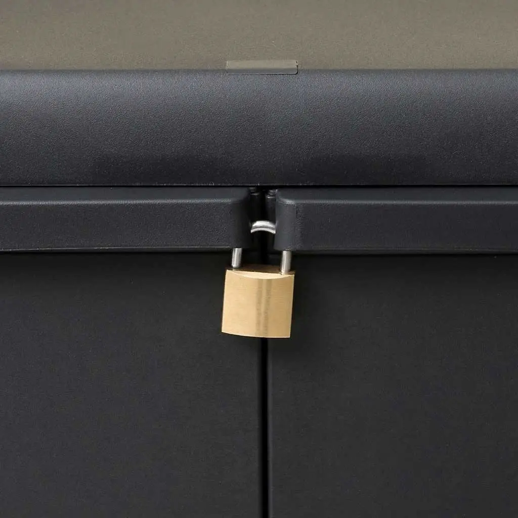 Black Outdoor Storage Cabinet with Two Adjustable Shelves