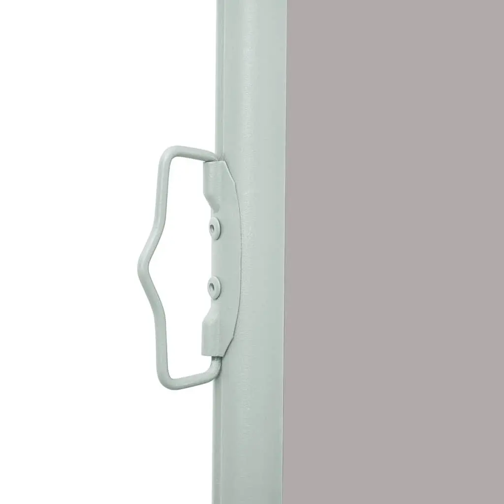 Retractable Side Awning for Outdoor Patio Garden 140 x 300 cm Grey
