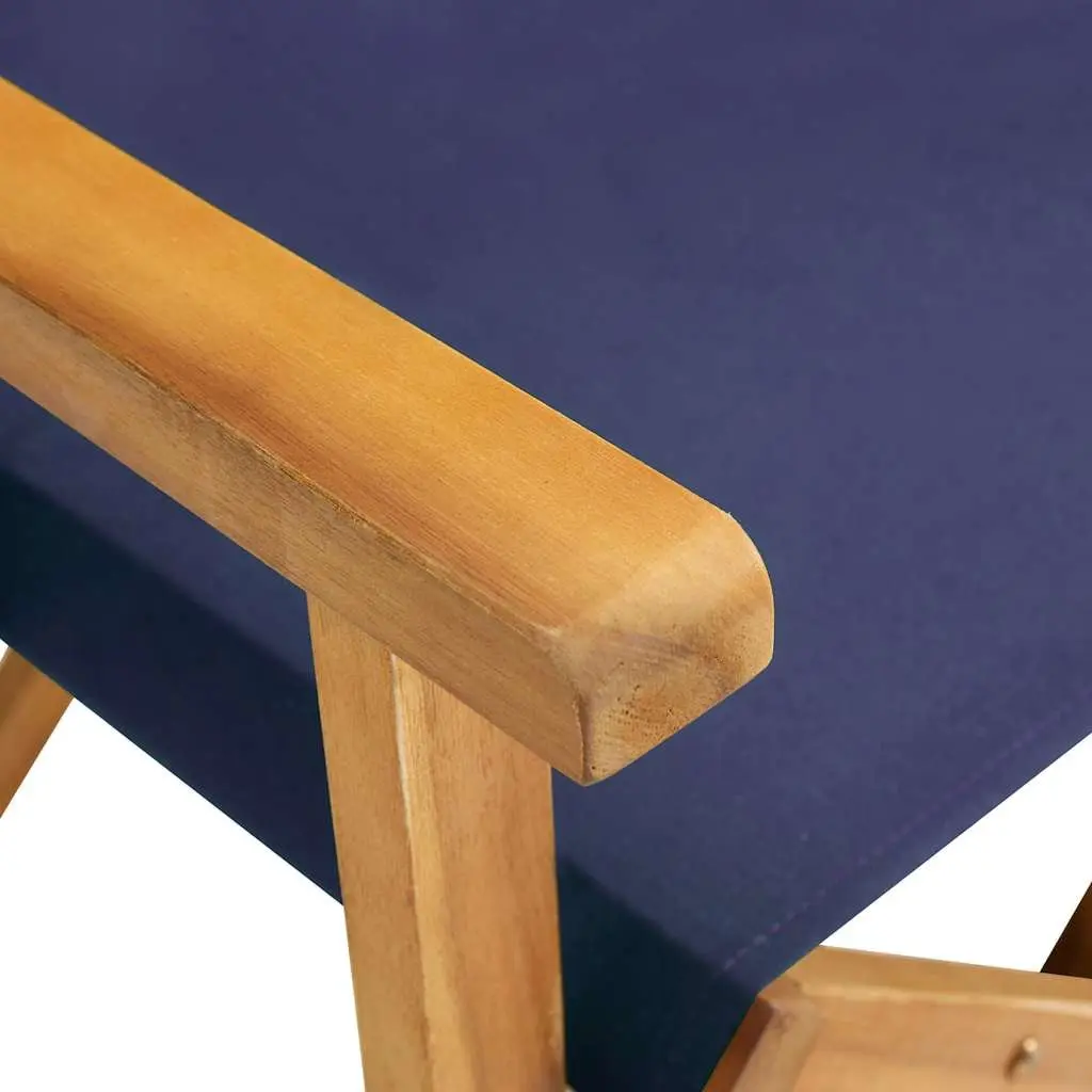 Folding Director's Chairs Set of 2 Outdoor Camping Beach Seating Blue