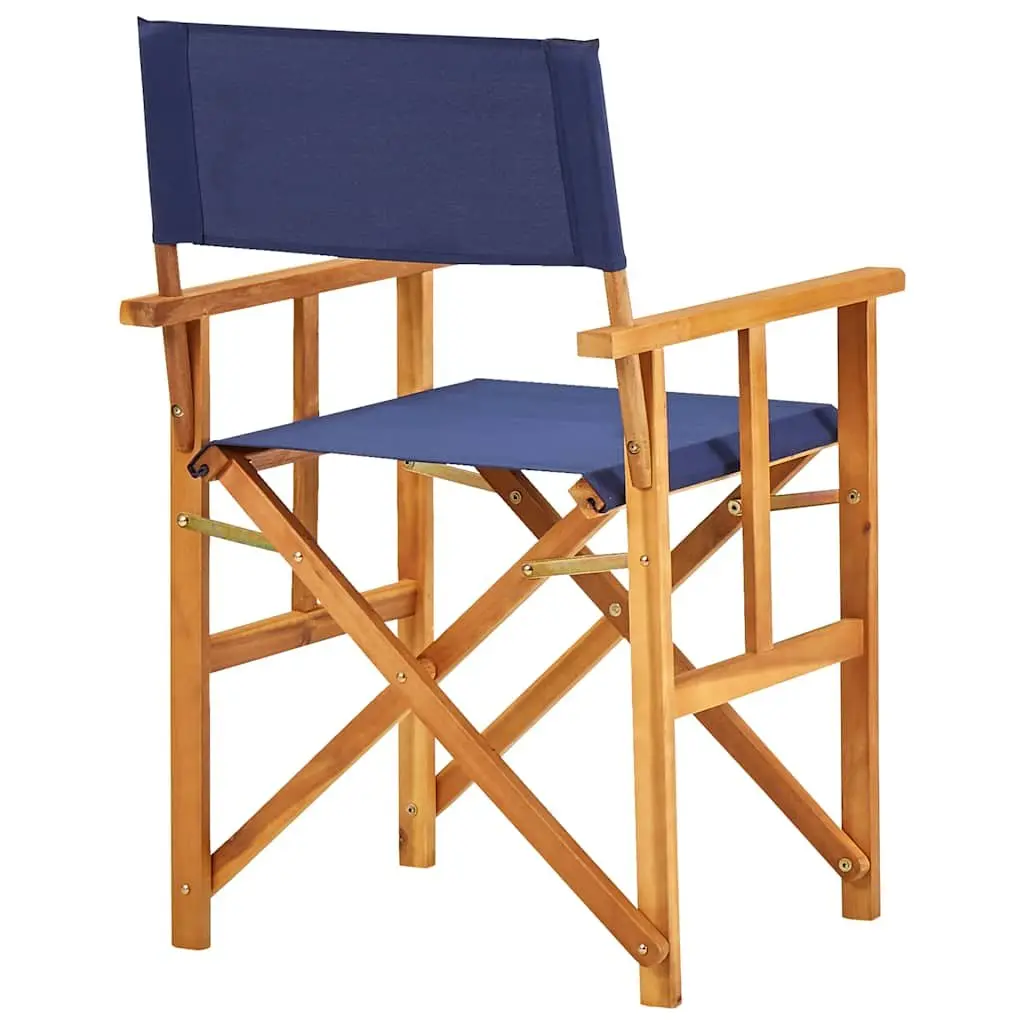 Folding Director's Chair Outdoor Seating Camping Beach Portable Blue Seat