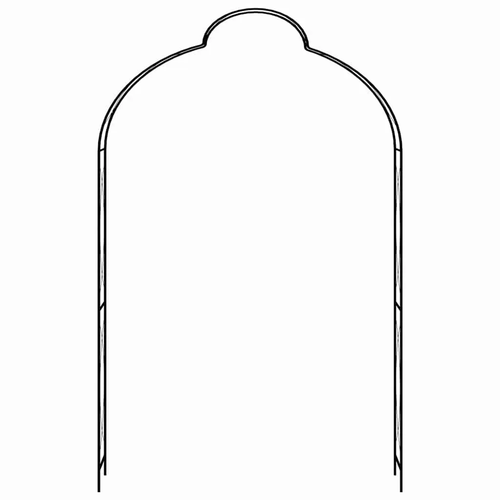 Garden Arch Outdoor Iron 150 x 34 x 240 cm
