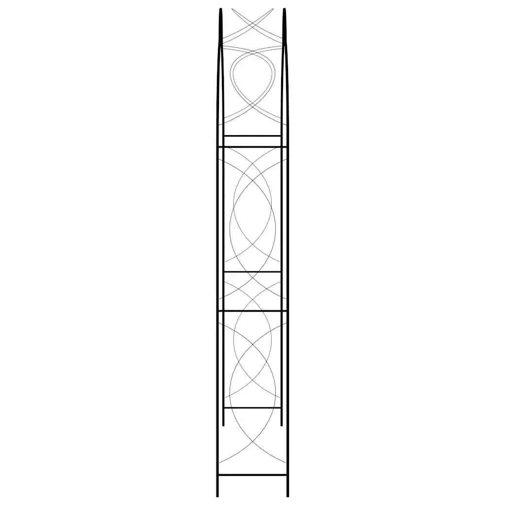Garden Arch Outdoor Iron 150 x 34 x 240 cm