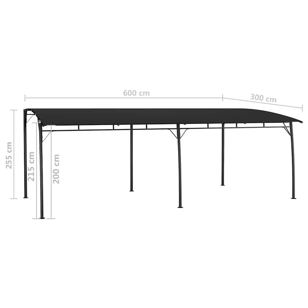 Garden Sunshade Awning Outdoor Canopy 6 x 3 x 2.55 m Anthracite