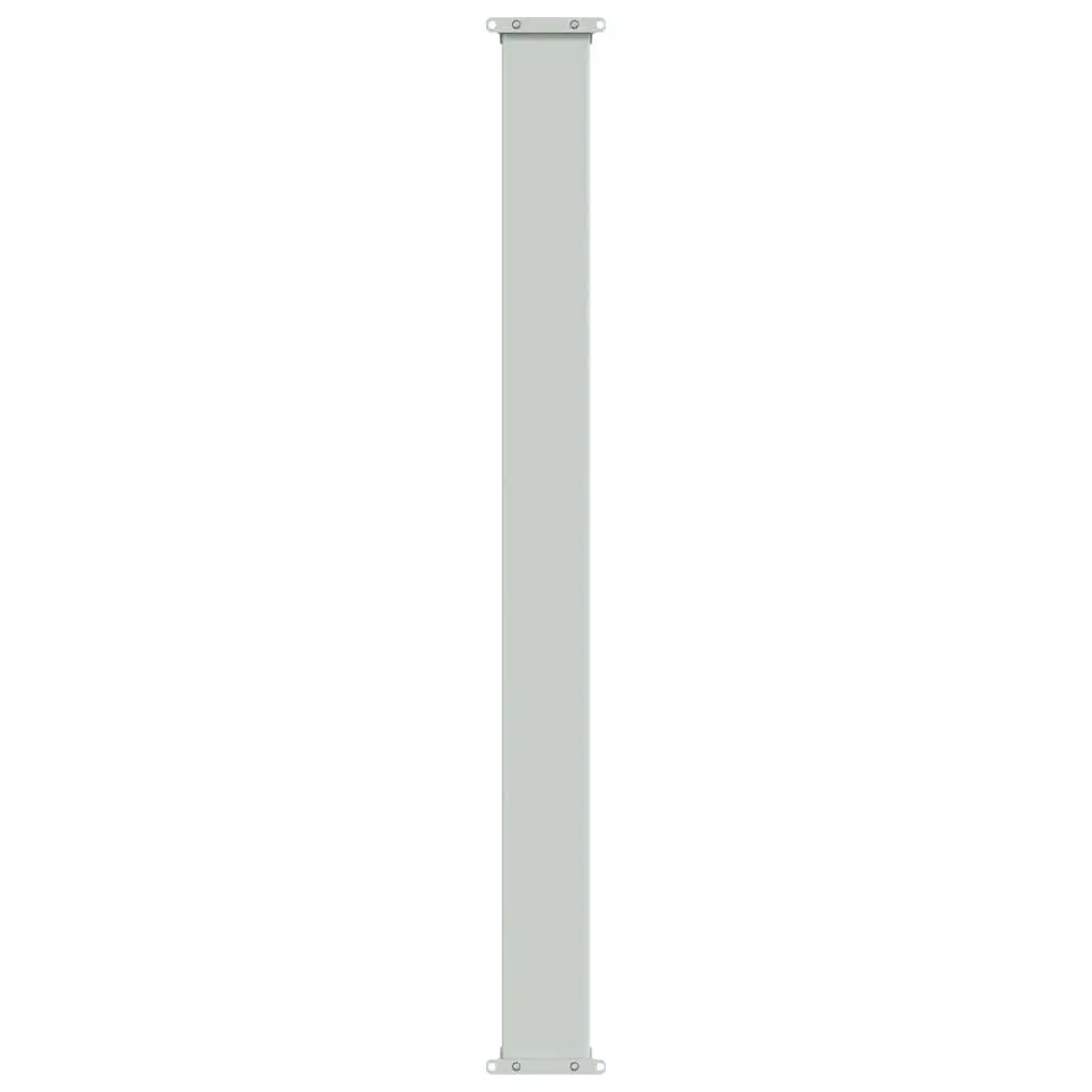 Patio Retractable Side Awning 100x300 cm Grey Privacy Screen Sunshade