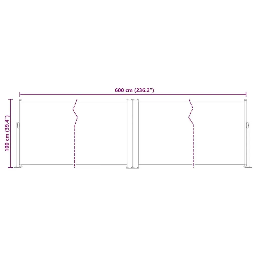 Retractable Side Awning 100x600 cm Anthracite Garden Patio Privacy Screen Shade