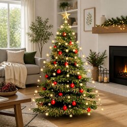 Specifications for Christmas Tree Net Lights - 210 LEDs