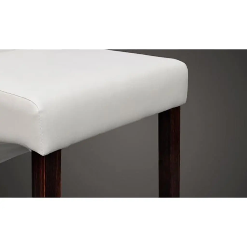 Dining Chairs Set of 2 Kitchen White Padded Seat Backrest