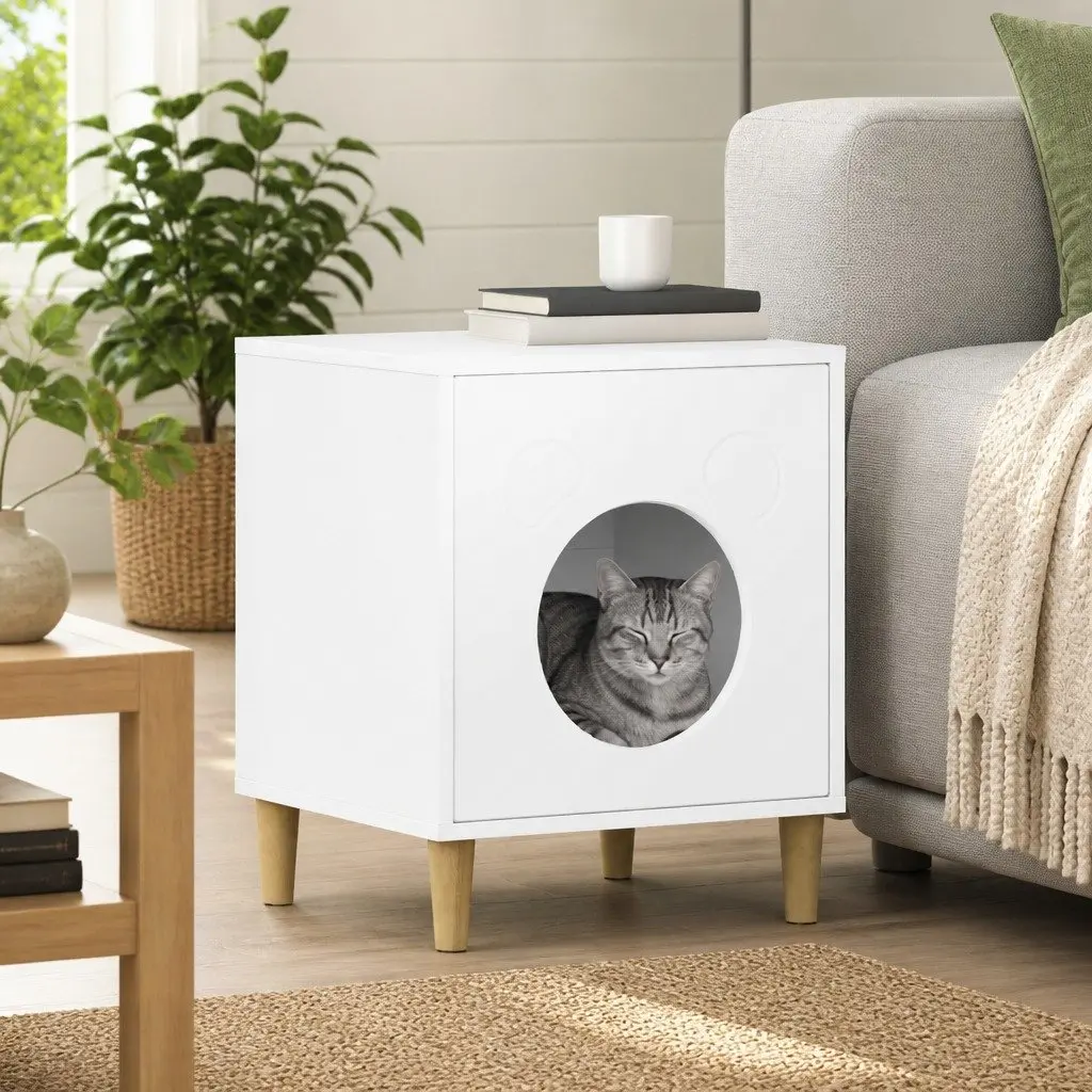 Indoor Cat House