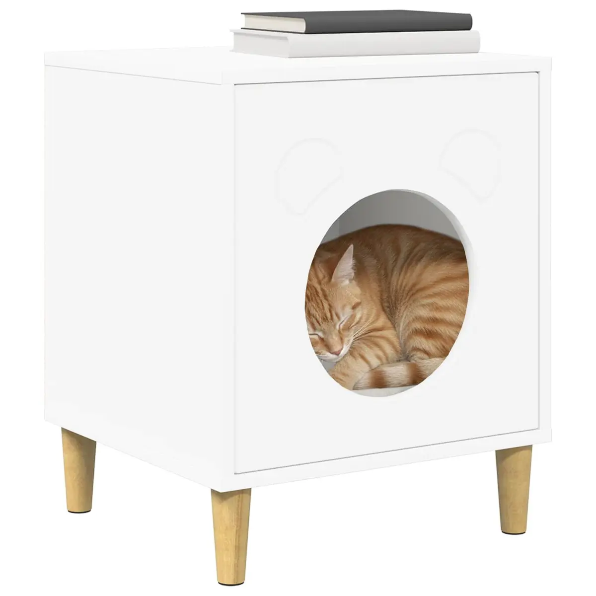 Indoor Cat House