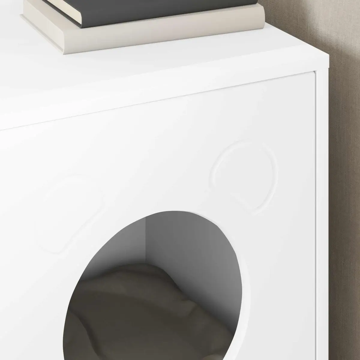 Indoor Cat House