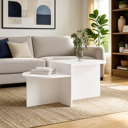 Specifications for White Coffee Table 100 x 50 x 40 cm