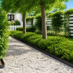 Garden Lawn Edging Border 10 Pieces Steel Landscape Flexible Outdoor Fencing
