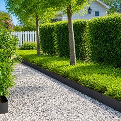 Steel Lawn Edging - 10 Pieces, 100 x 20 cm, Black, Durable