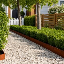 Garden Lawn Edging Set - 20 pcs 100 x 20 cm Steel Borders