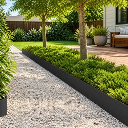 Garden Lawn Edging 10 Pieces Steel Black Border Landscape Barrier 100x18cm