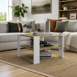 Coffee Table with Storage Shelf Modern Living Room Accent Furniture 60x60x40cm