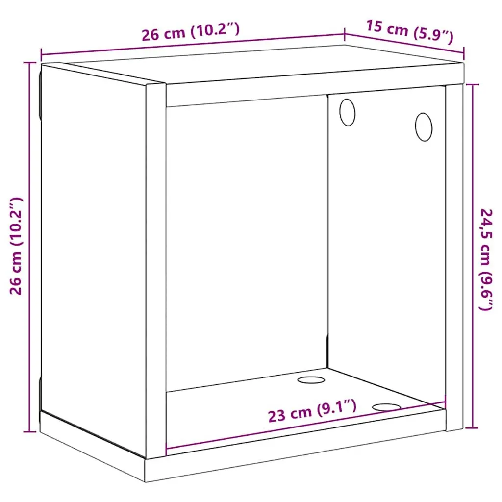 Wall Cube Shelves Set 2 pcs Black Floating Storage Display Organizer Living Room