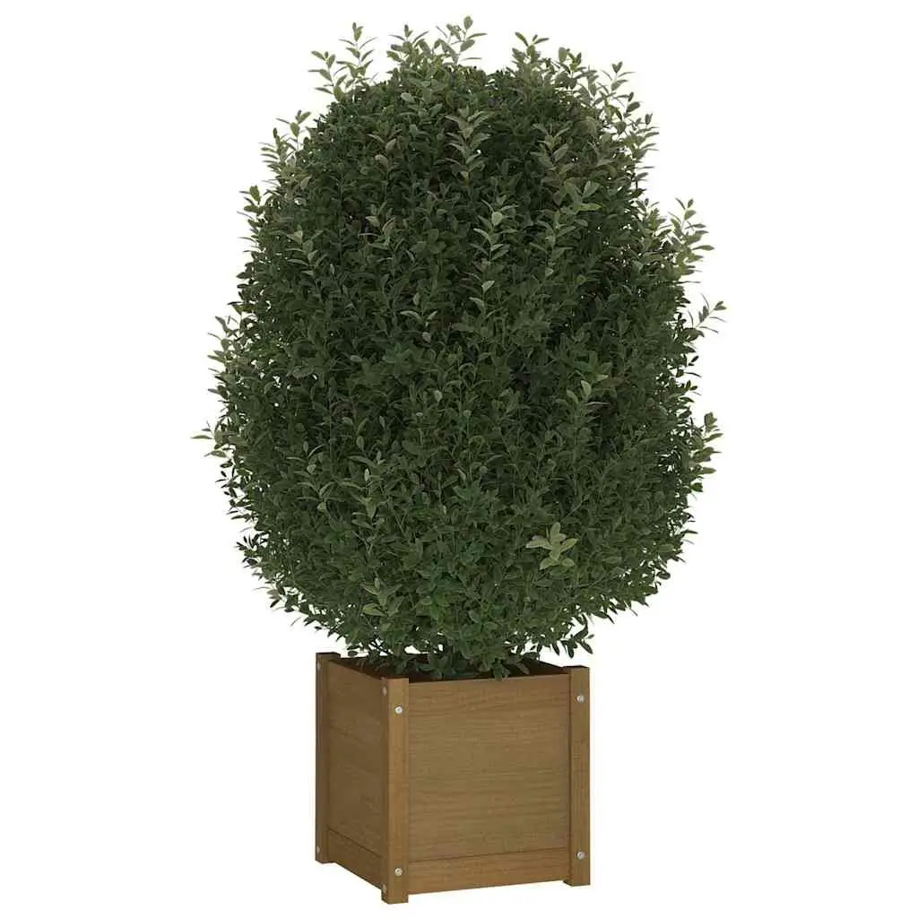 Garden Planter Box, Solid Pinewood, 40x40x40 cm