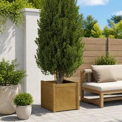 Garden Planter Box Specifications: 50x50x50cm Solid Wood