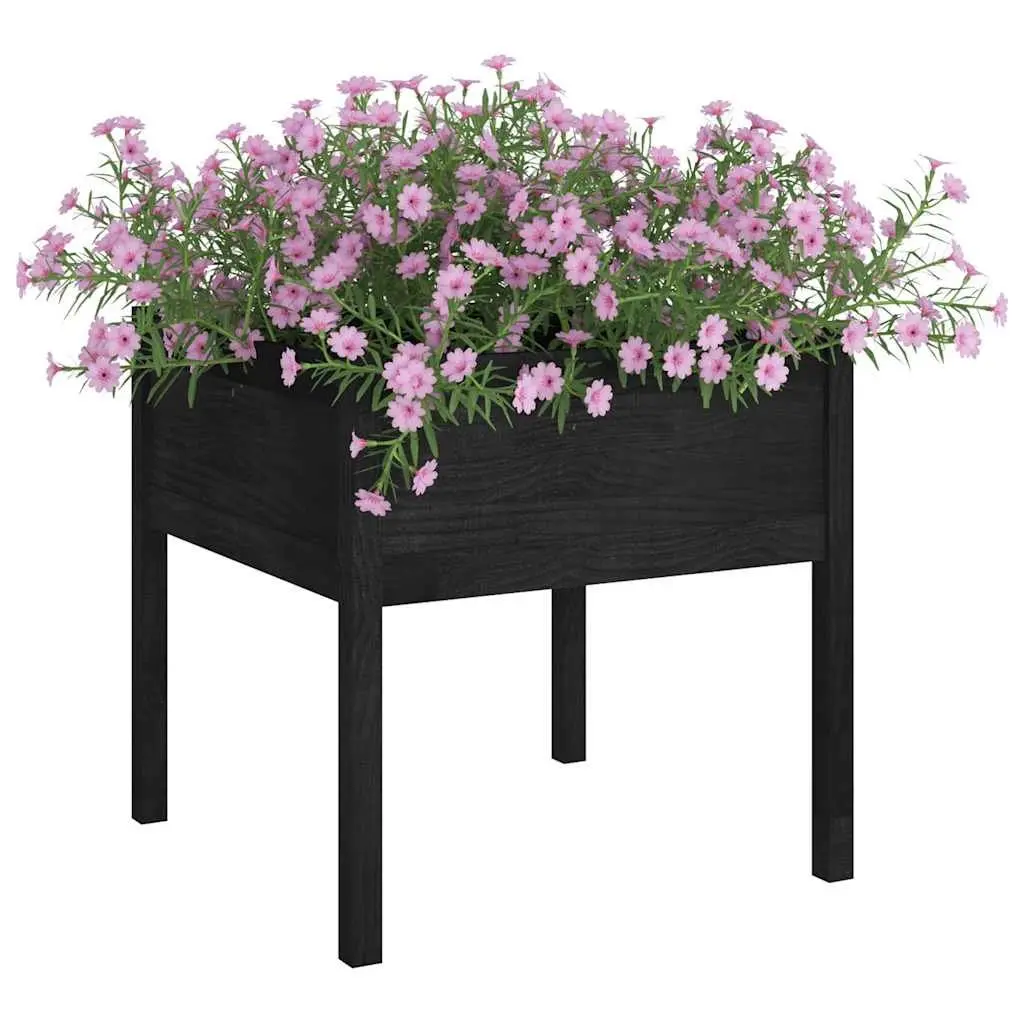 Garden Planters Outdoor 70x70x70 cm Black 2 Piece