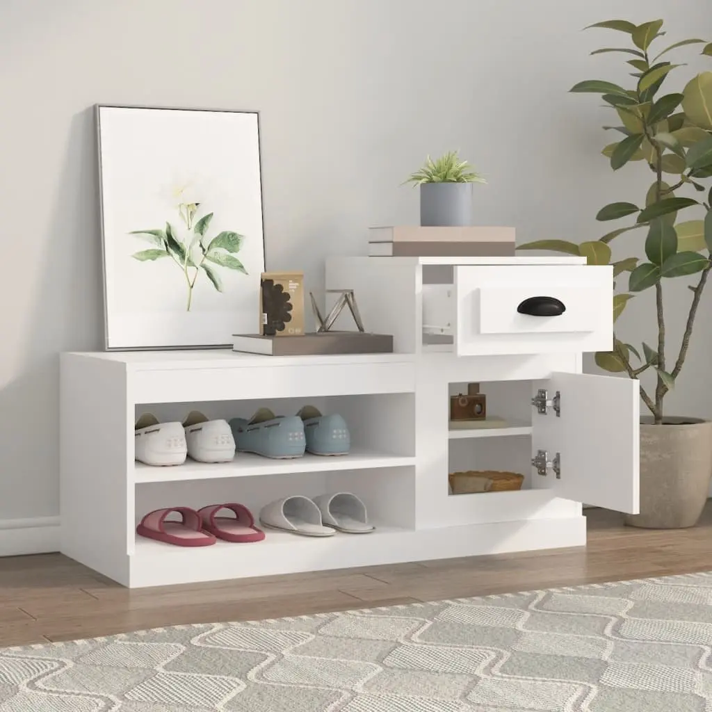 White Engineered Wood Shoe Storage Cabinet Two-Tier Organiser for Home 100x42x60cm