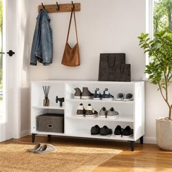 Specifications for the High Gloss Shoe Cabinet Organizer