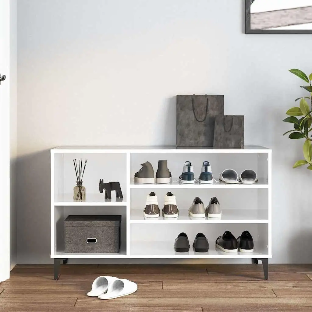 High Gloss Shoe Cabinet Organizer