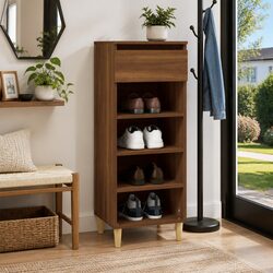 Dimensions and Features of the Brown Oak Shoe Cabinet