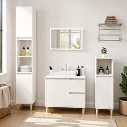 Engineered Wood Bathroom Vanity Cabinet: 65 x 33 x 60 cm