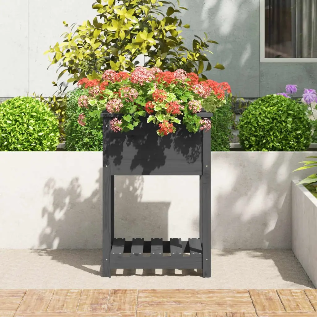 Wooden Planter for Garden Grey Solid Pine with Shelf 54 x 54 x 81 cm