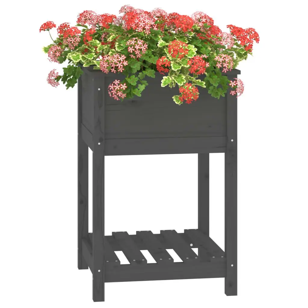 Wooden Planter for Garden Grey Solid Pine with Shelf 54 x 54 x 81 cm