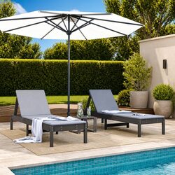 Specifications of Sun Loungers 2 pcs Grey Adjustable Chairs