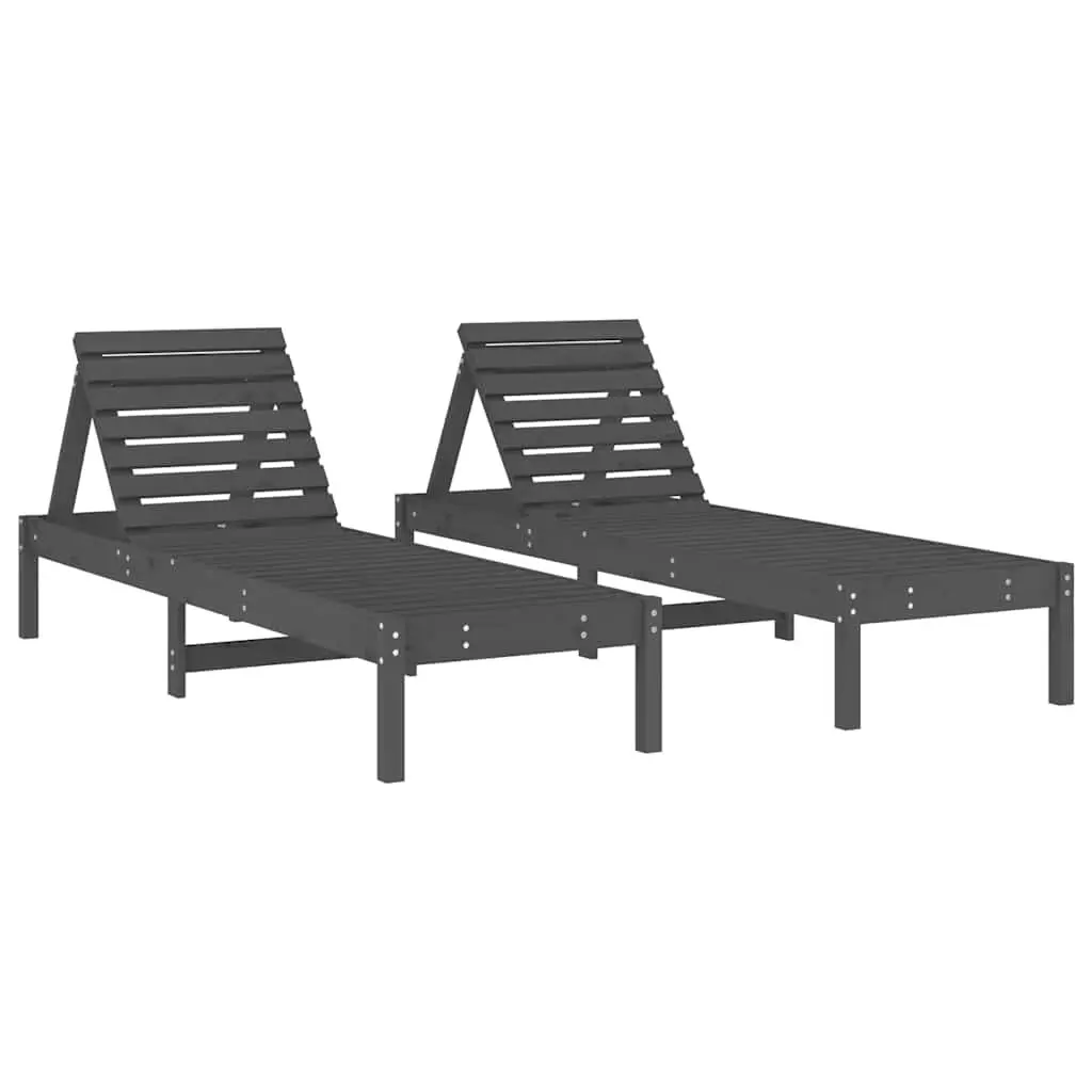 Sun Loungers 2 pcs Grey Adjustable Chairs