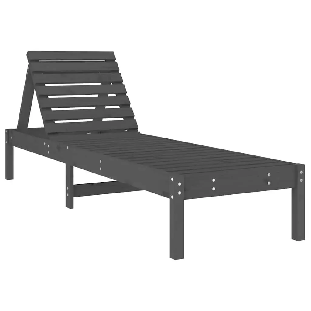 Sun Loungers 2 pcs Grey Adjustable Chairs
