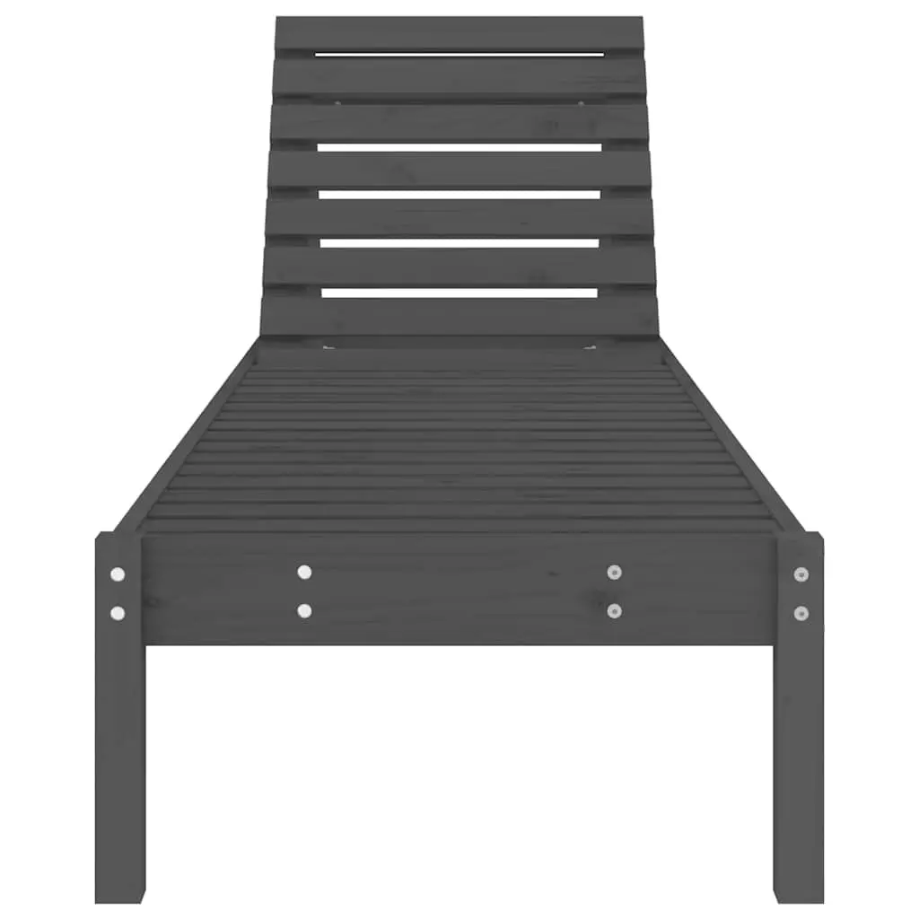 Sun Loungers 2 pcs Grey Adjustable Chairs
