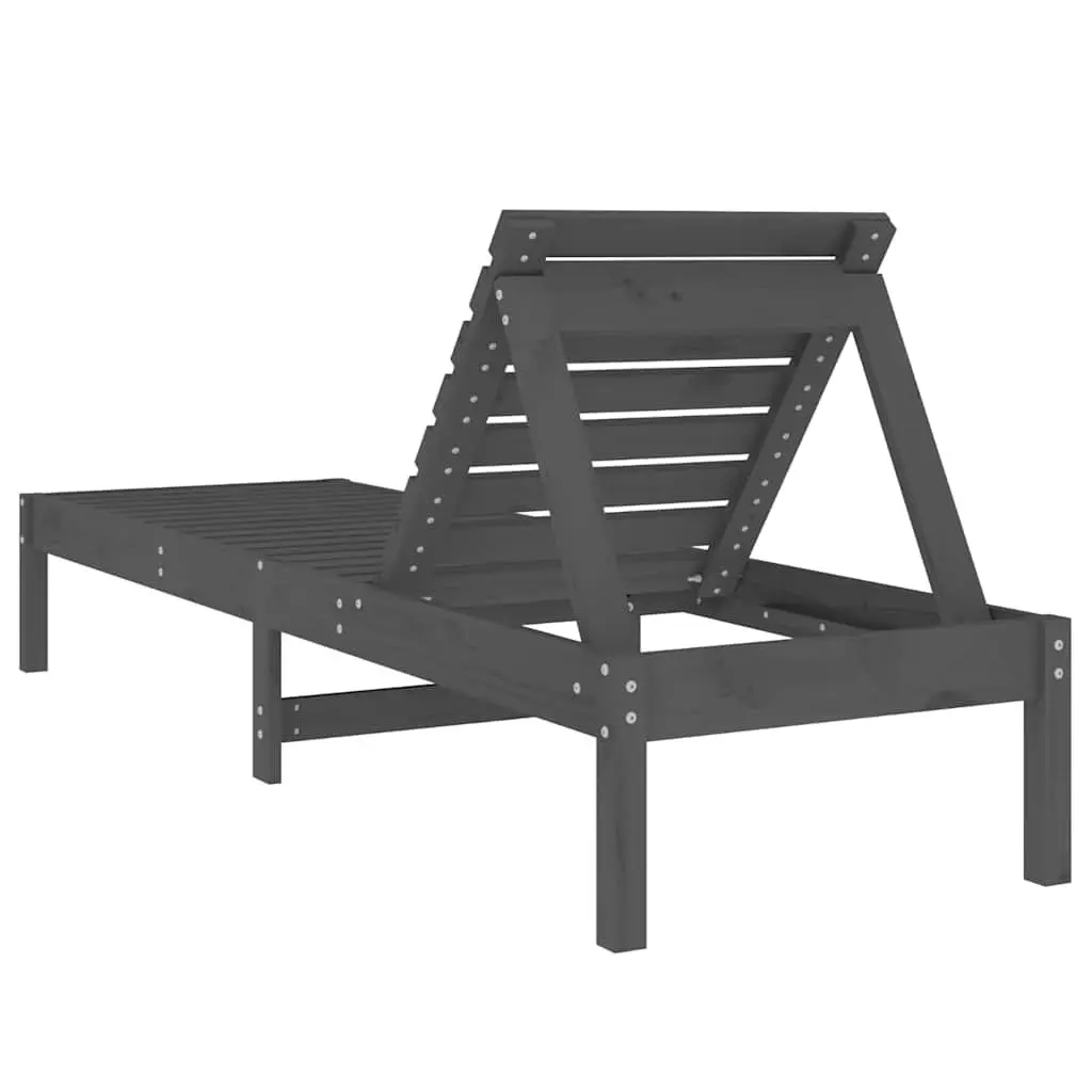 Sun Loungers 2 pcs Grey Adjustable Chairs