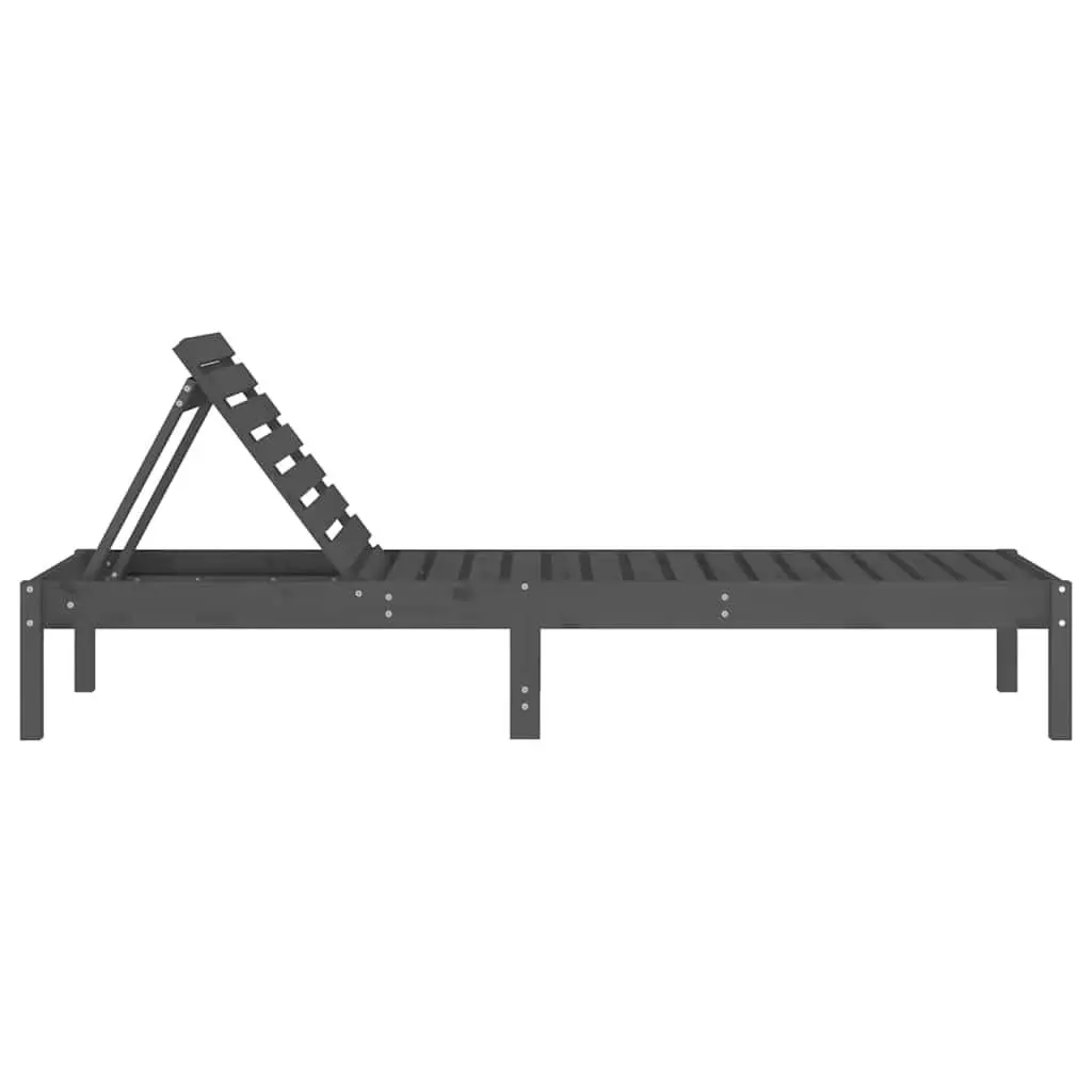 Sun Loungers 2 pcs Grey Adjustable Chairs