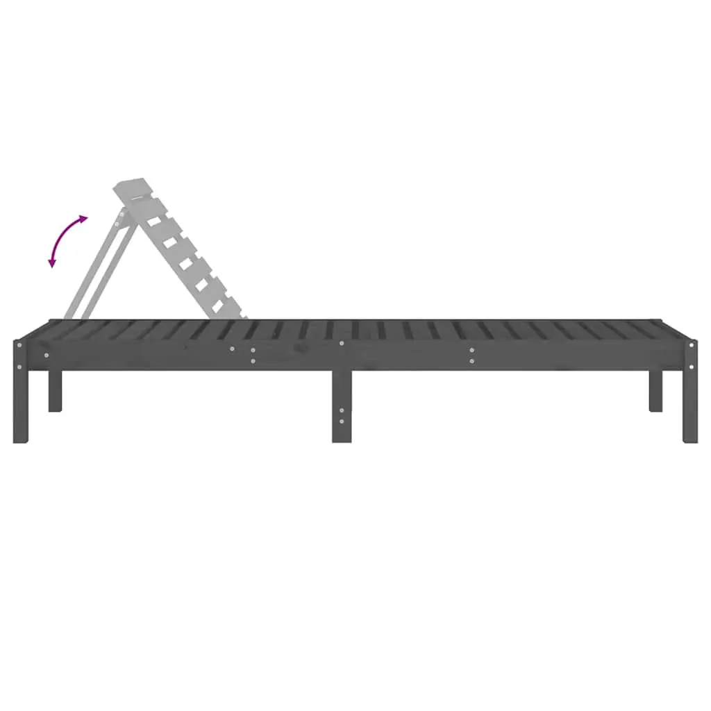 Sun Loungers 2 pcs Grey Adjustable Chairs